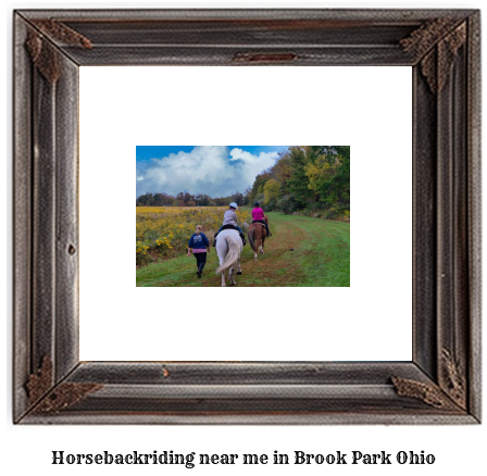 horseback riding near me in Brook Park, Ohio